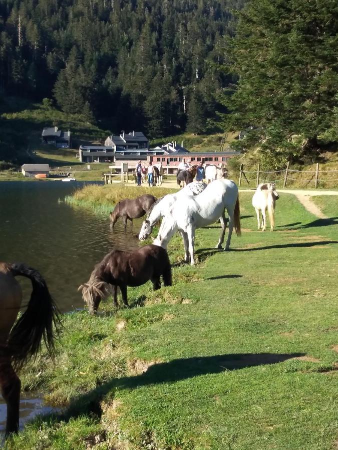 Gite Cosy Lac De Payolle Campan Dış mekan fotoğraf