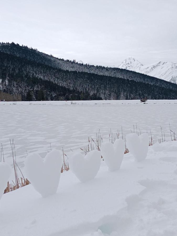 Gite Cosy Lac De Payolle Campan Dış mekan fotoğraf