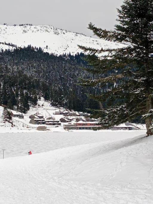 Gite Cosy Lac De Payolle Campan Dış mekan fotoğraf