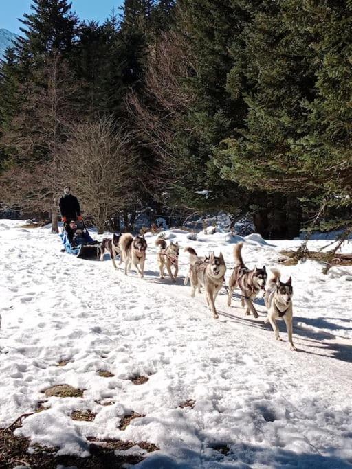 Gite Cosy Lac De Payolle Campan Dış mekan fotoğraf