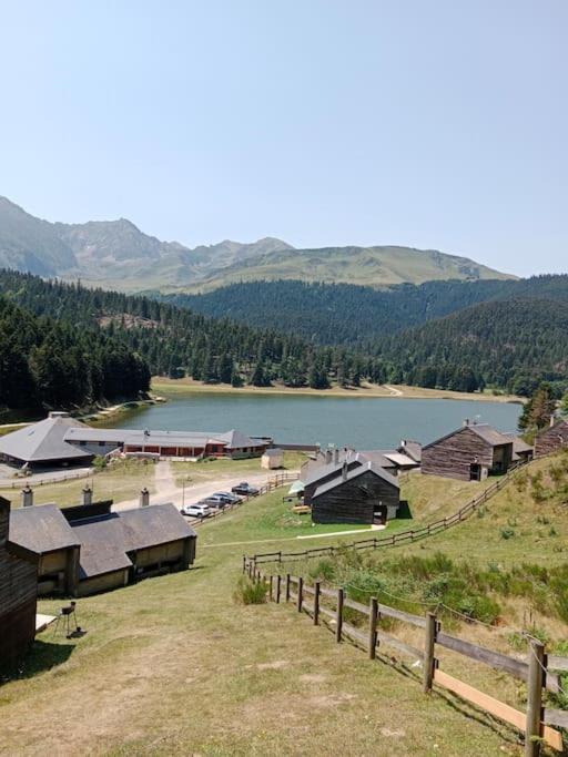 Gite Cosy Lac De Payolle Campan Dış mekan fotoğraf